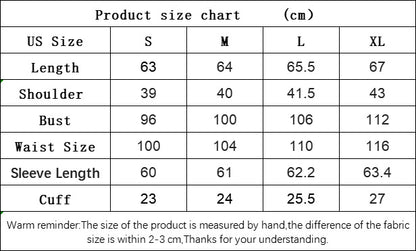 Lace Trim V-Neck Blouse for Women, Office Long Sleeve Pullover Shirt Loose Fit Layering Top